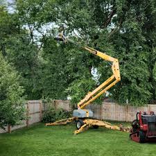 Best Tree Health Inspection  in Four Square Mile, CO