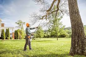 Lawn Drainage Solutions in Four Square Mile, CO