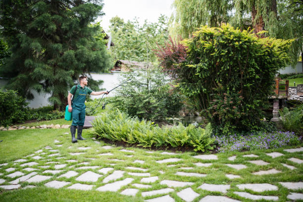 Best Commercial Tree Services  in Four Square Mile, CO